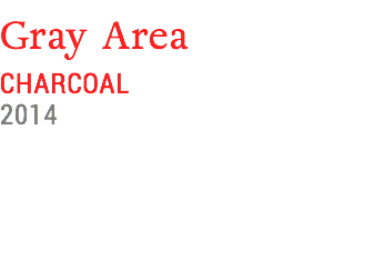 Gray Area
CHARCOAL
2014